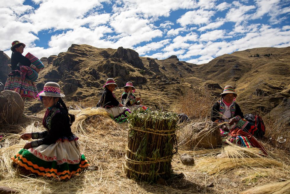 Boven de diepe kloof zitten Quechuavrouwen stengels van ichugras te vervlechten tot touwen Tijdens de ceremonie mogen de vrouwen niet in de buurt van de brug over de kloof komen omdat dat ongeluk zou brengen