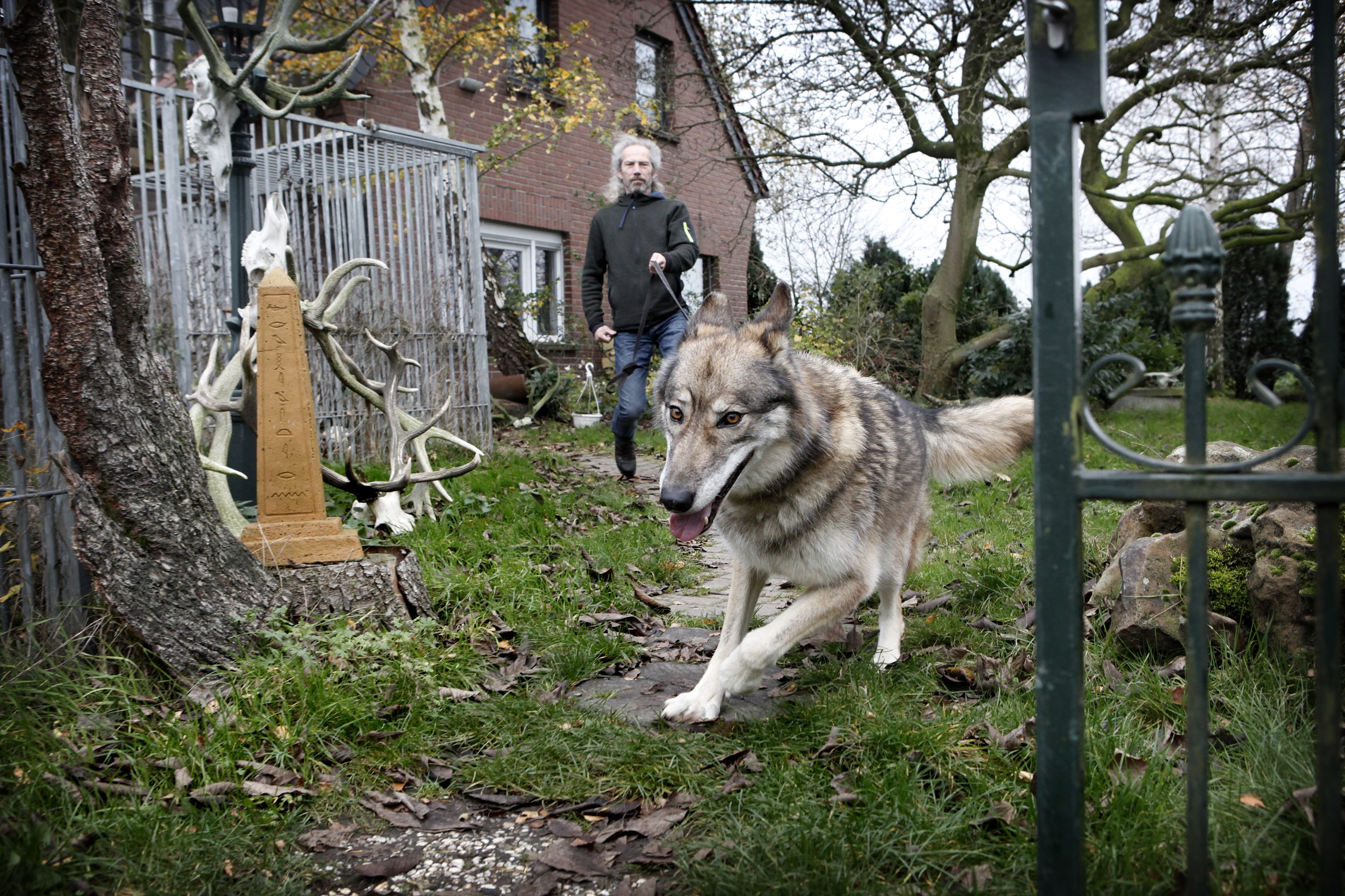 Berg kleding op Opa Remmen Beeldverhaal: een wolfhond als huisdier