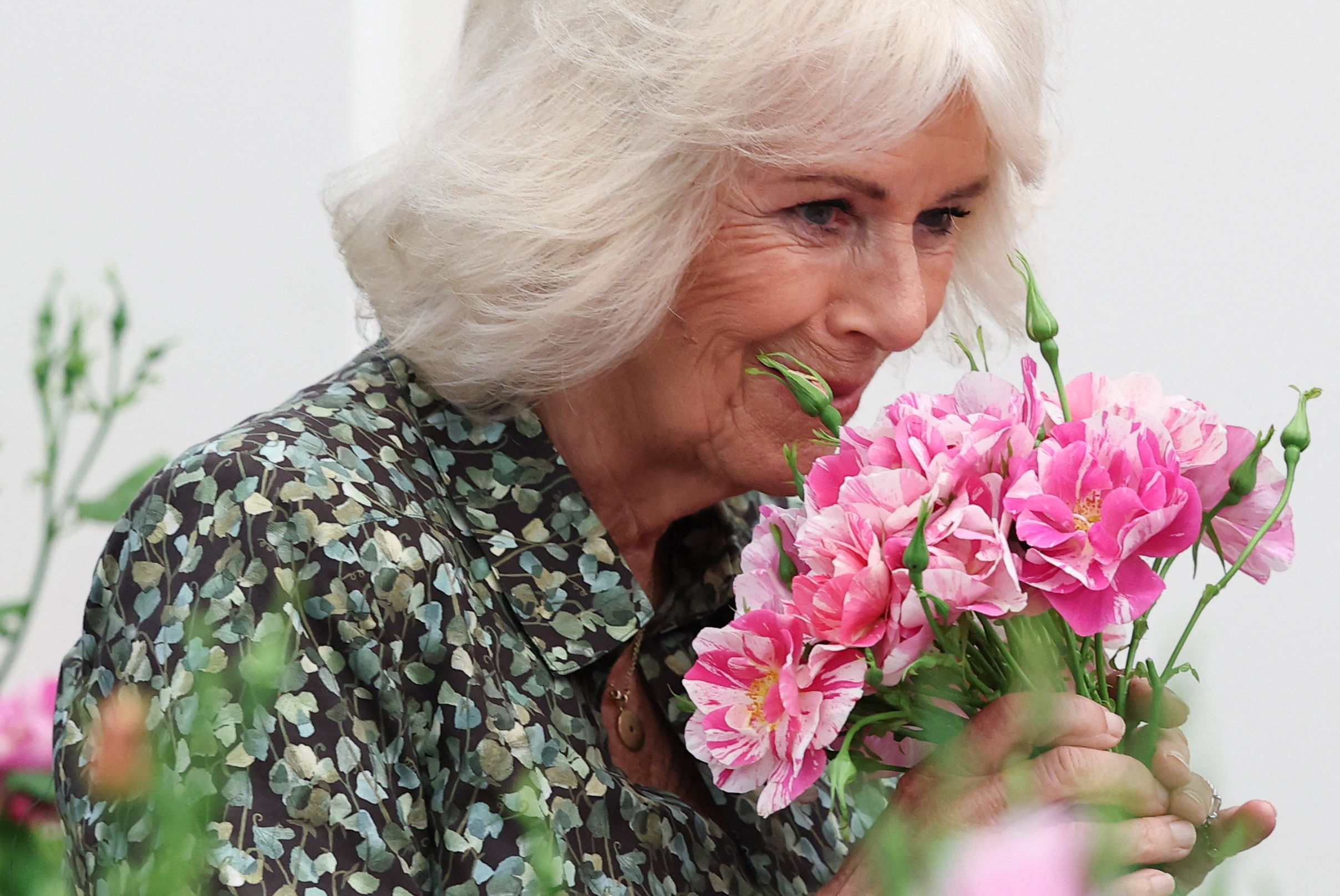 queen-camilla-smells-david-