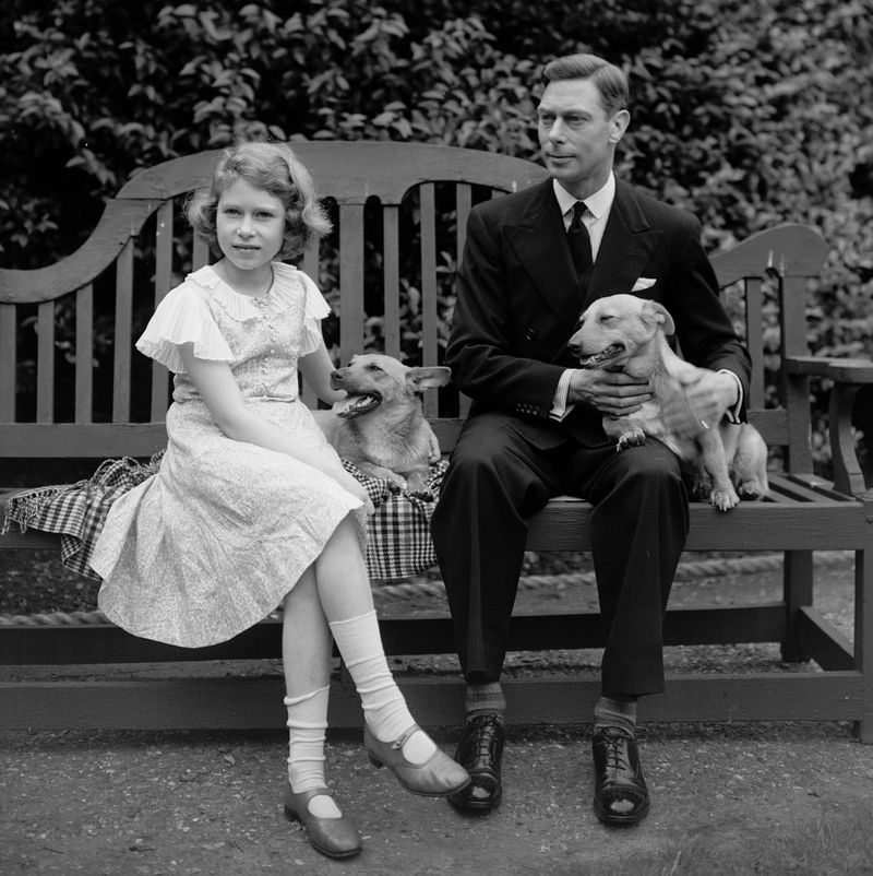 Queen Elizabeth's Corgis Facts — Queen Elizabeth's Corgis Photos Queen Elizabeth's Corgis Facts — Queen Elizabeth's Corgis Photos