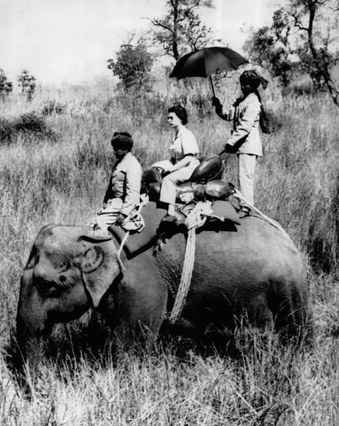 queen elizabeth riding an elephant