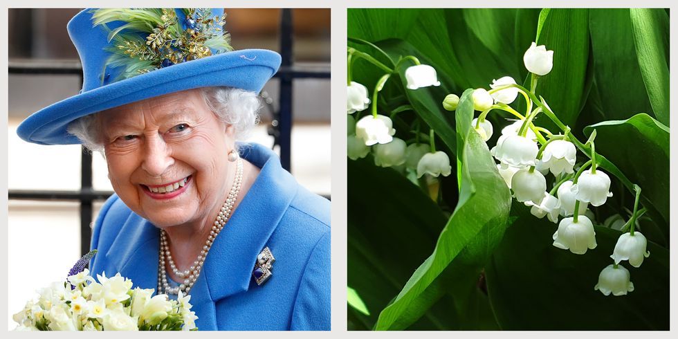queen elizabeth virtual chelsea favorite flower lily of the valley
