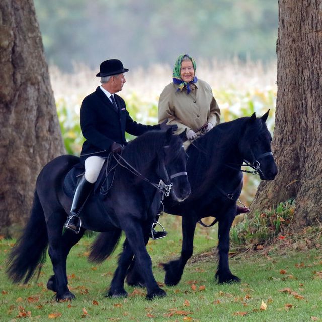 Queen Elizabeth Reportedly Hasn't Been Able to Ride Her Horses in Months