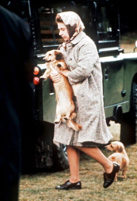 queen elizabeth ii