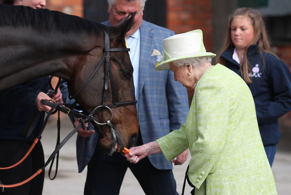 Queen Elizabeth II feeds a horse in Somerset