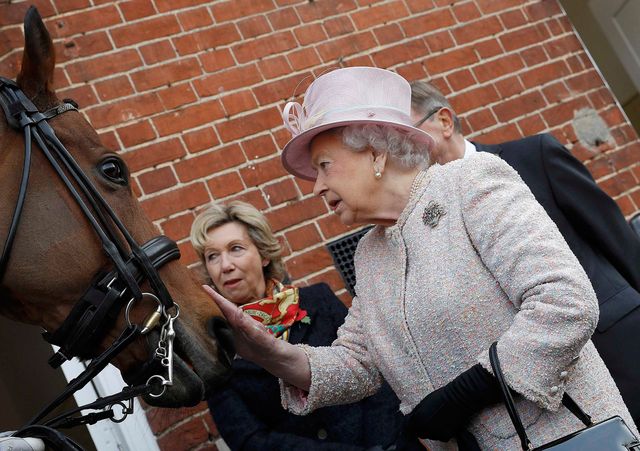 the queen visits newmarket
