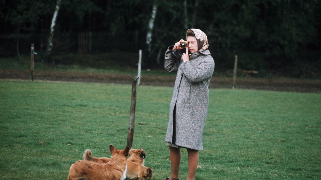 preview for Queen Elizabeth and Her Royal Corgis