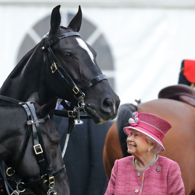 the queen attends the king's troop 70th anniversary parade
