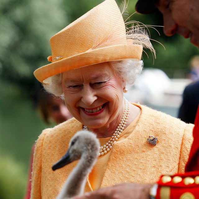 Queen Elizabeth II Attends Annual Swan Upping Census