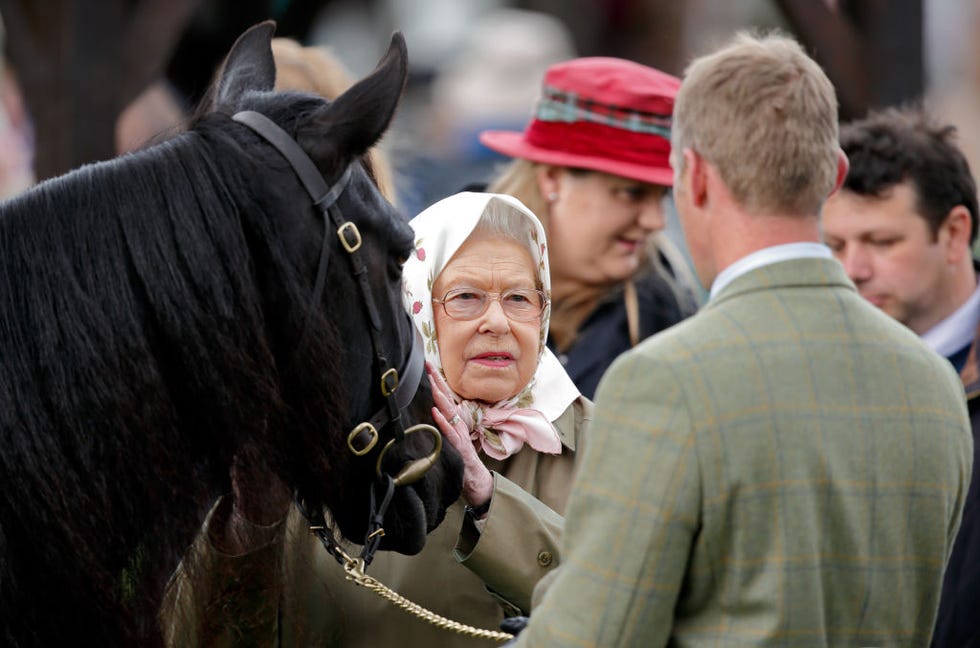 windsor horse show