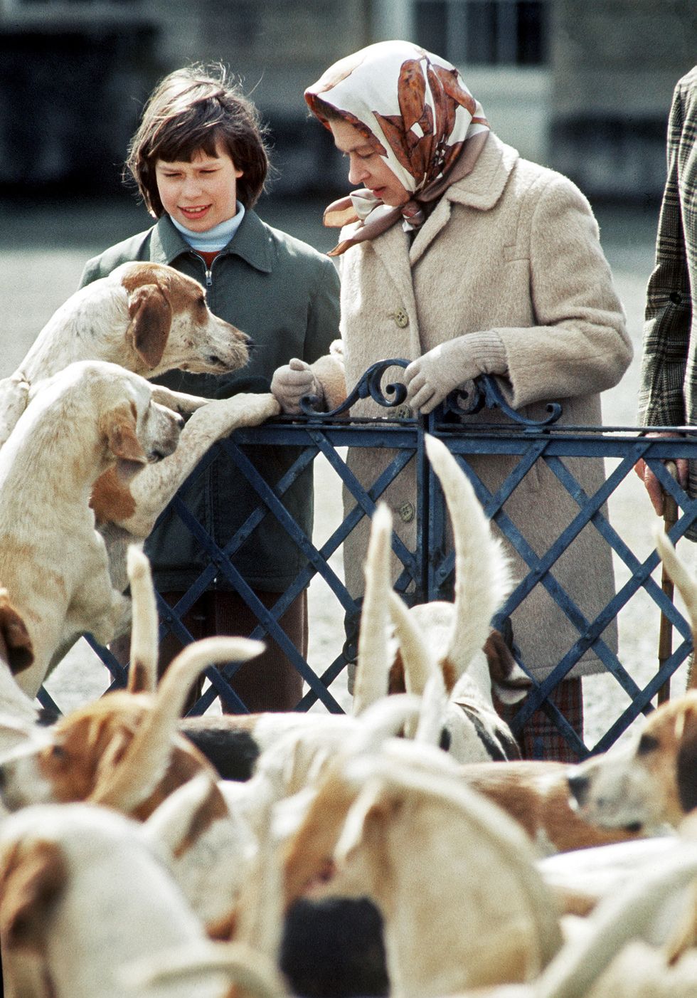 GBR: Queen Elizabeth II meets the hounds at the Badminton Horse Trials