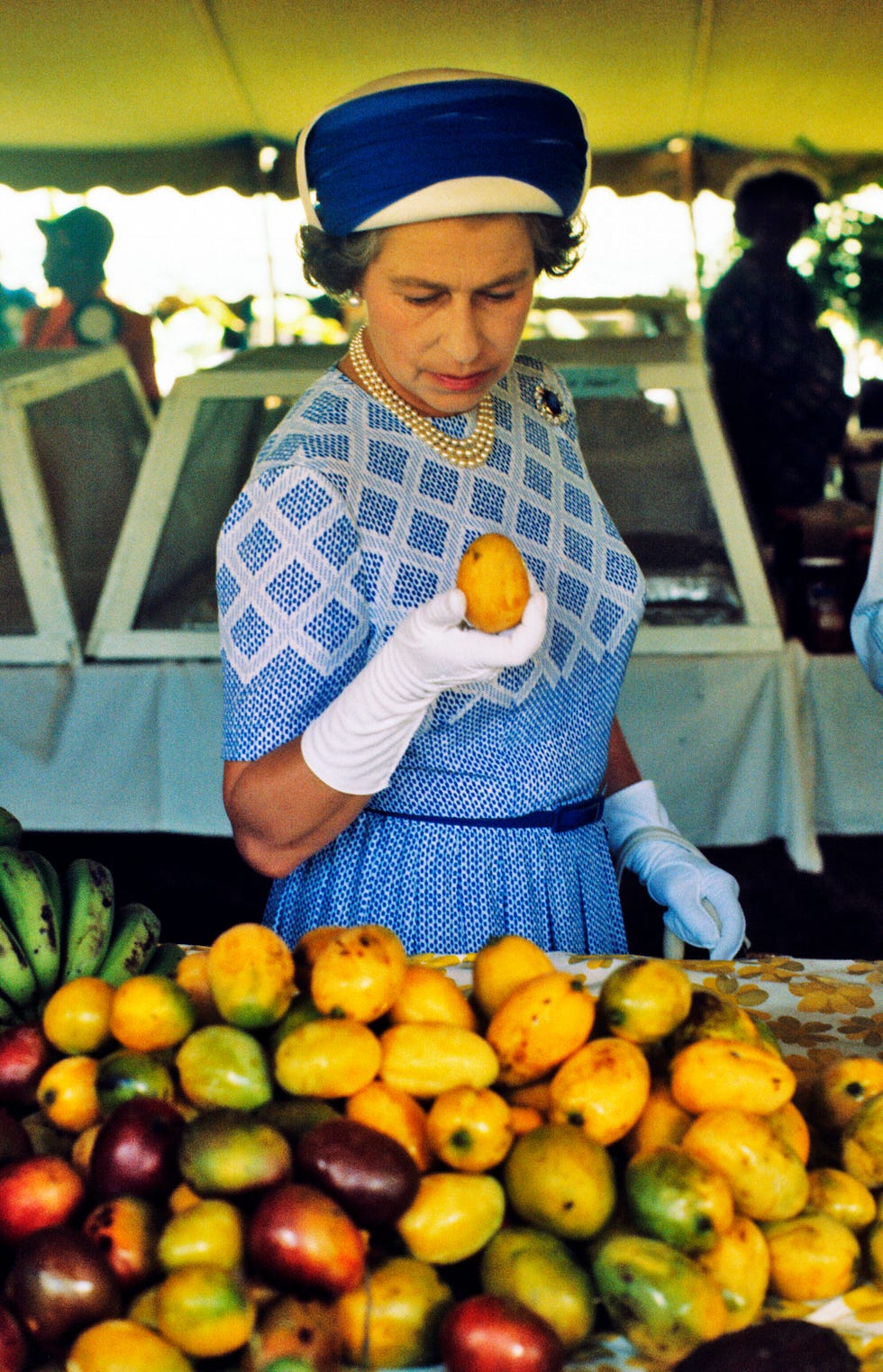 Royal visit to British Virgin Islands