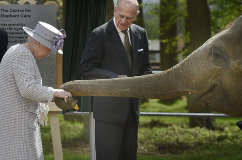 Queen Opens New Elephant Centre At Whipsnade