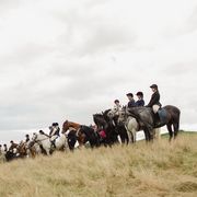 queen horse tribute in scotland