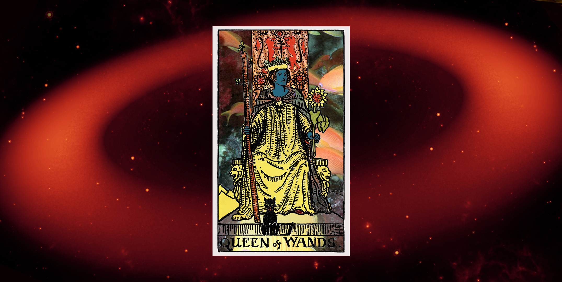 All About the Queen of Wands Tarot Card