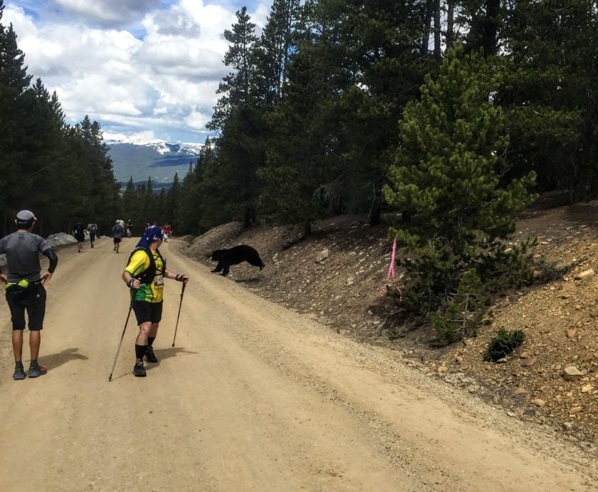 Trail, Outdoor recreation, Road, Recreation, Thoroughfare, Asphalt, Tree, Dirt road, Walking, Path, 
