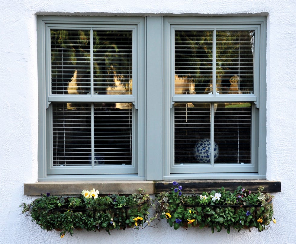sash windows