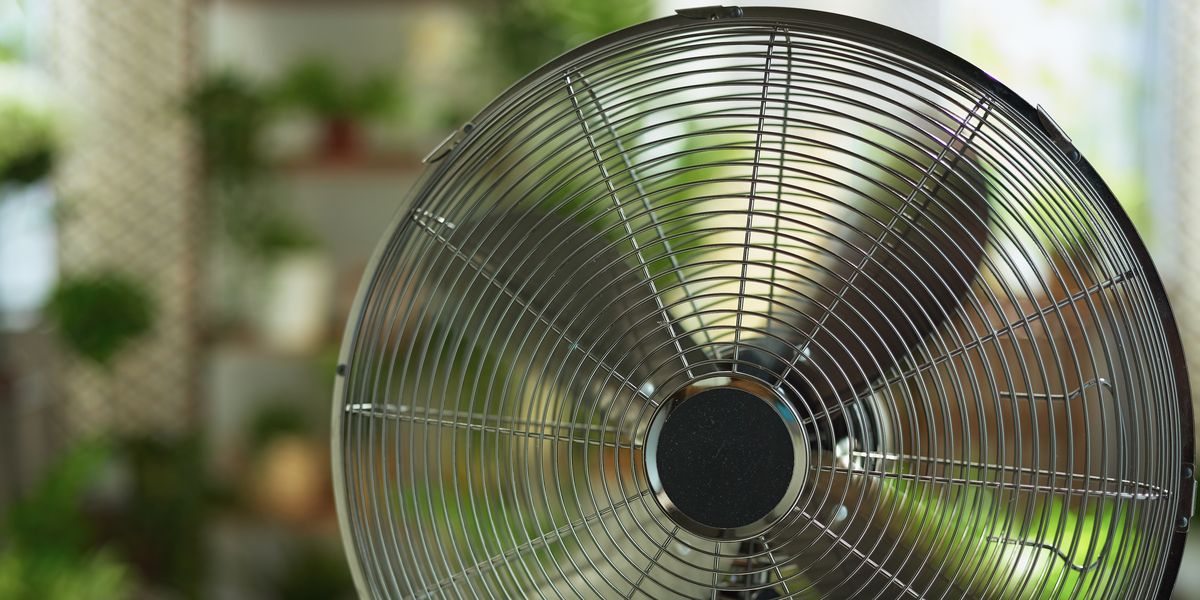 9 Quiet Fans to Keep You Cool During The Heatwave