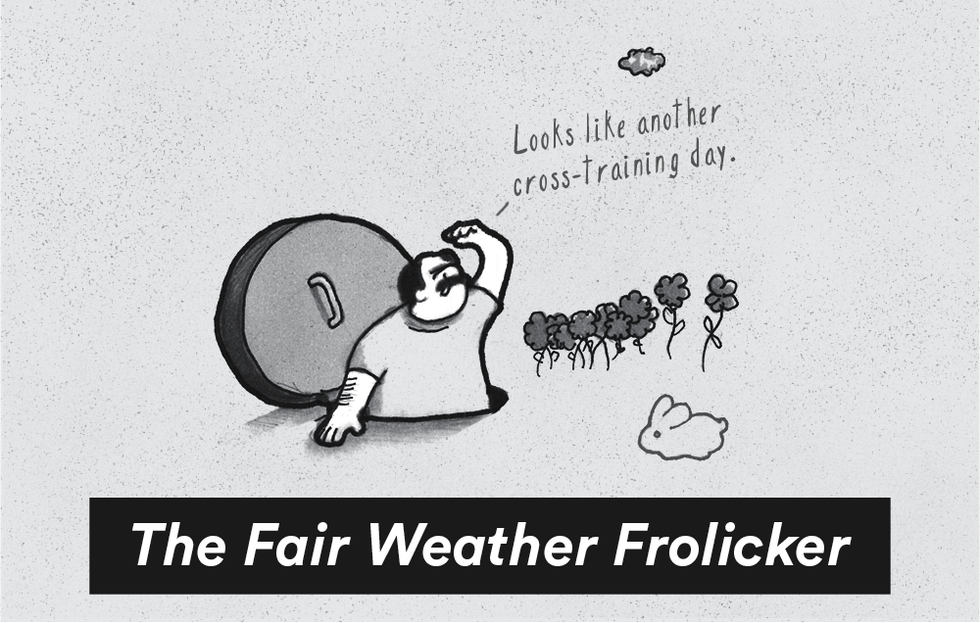 The Fair Weather Frolicker 