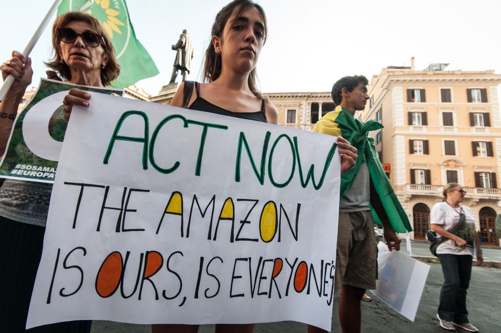 amazon forest fires  protest in brazil