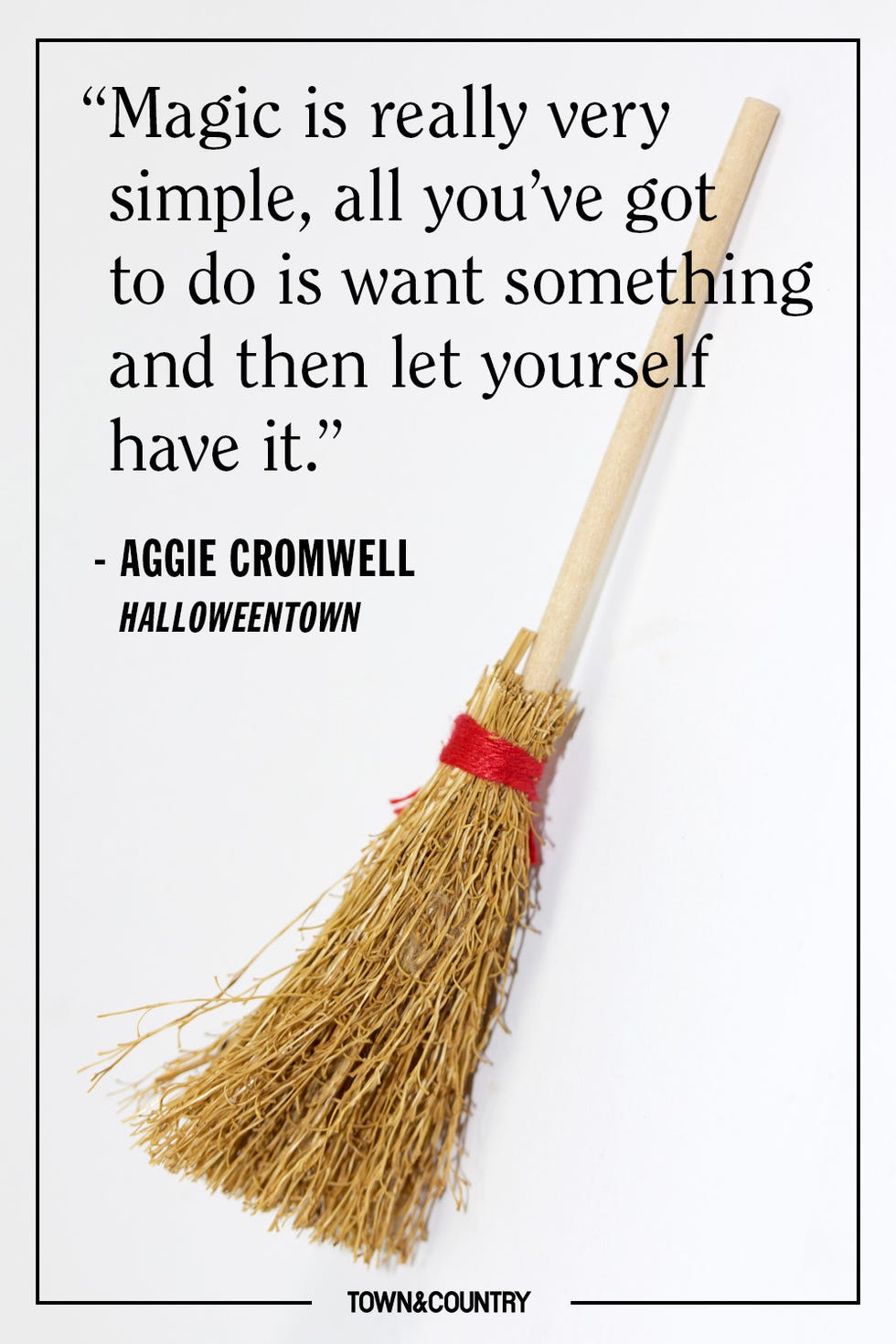 Broom, Household cleaning supply, Household supply, Broom, Household cleaning supply, Household supply,