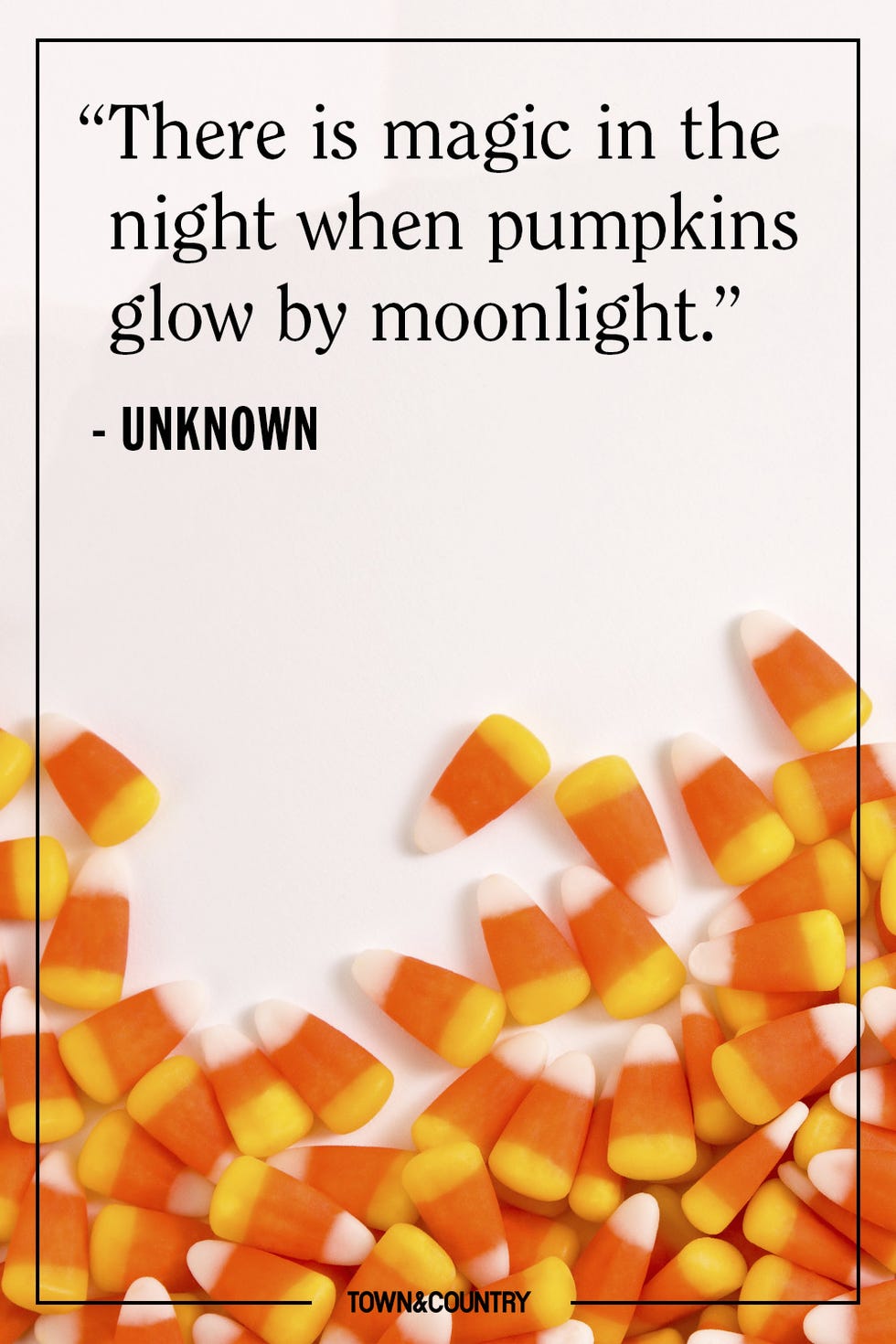 Text, Candy corn, Text, Candy corn,