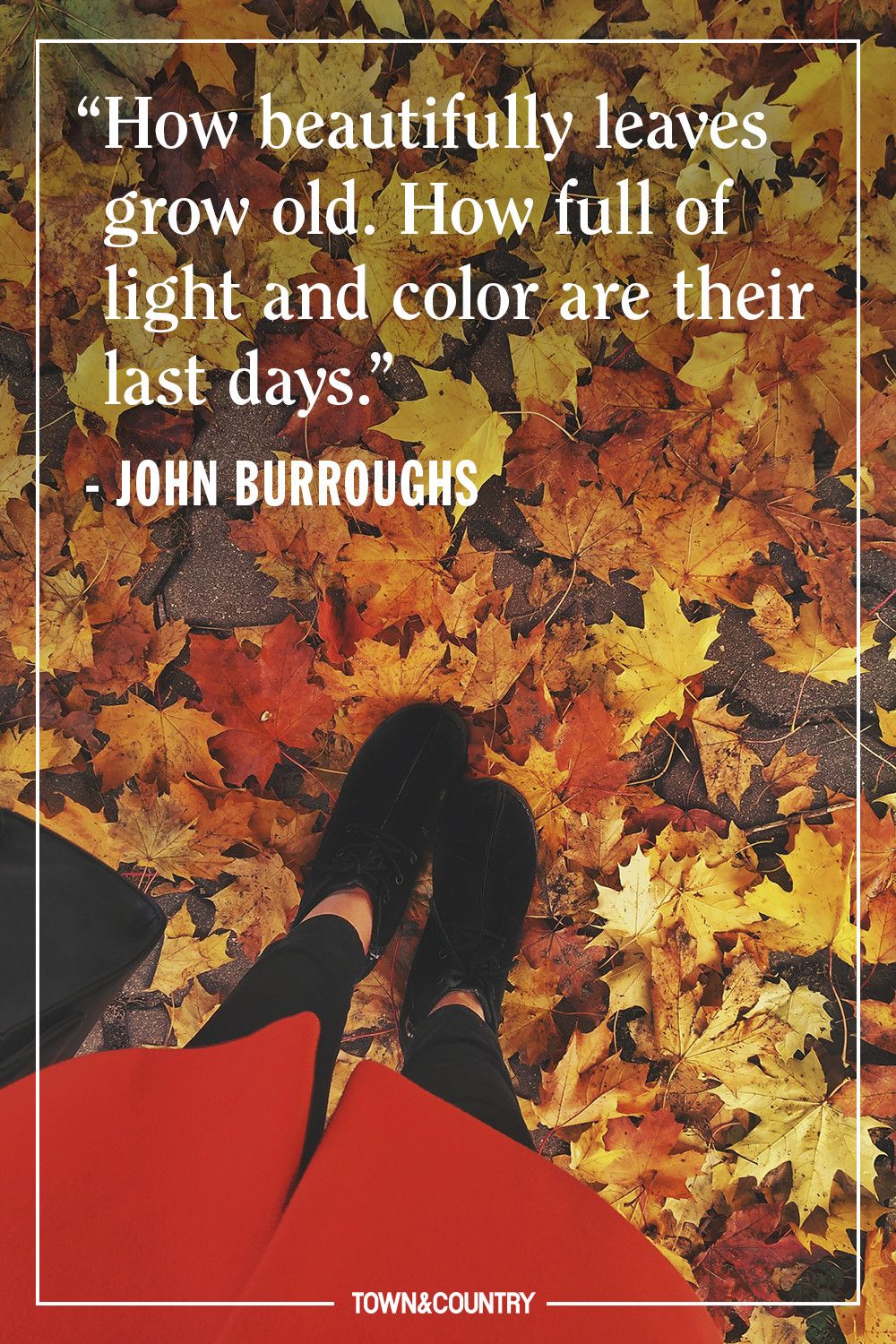 autumn love quotes