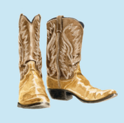 illustrated boots