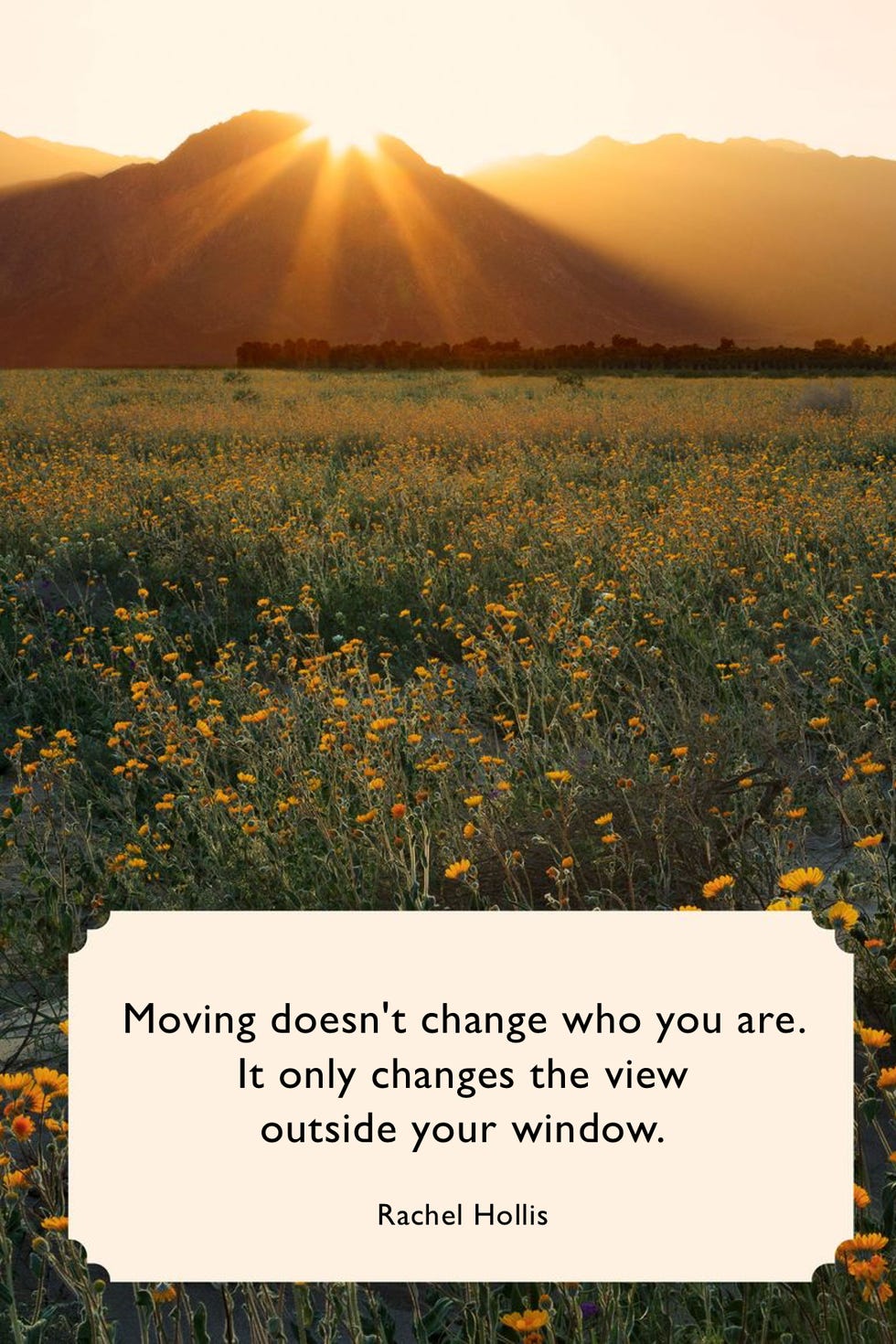 quotes about change Rachel Hollis