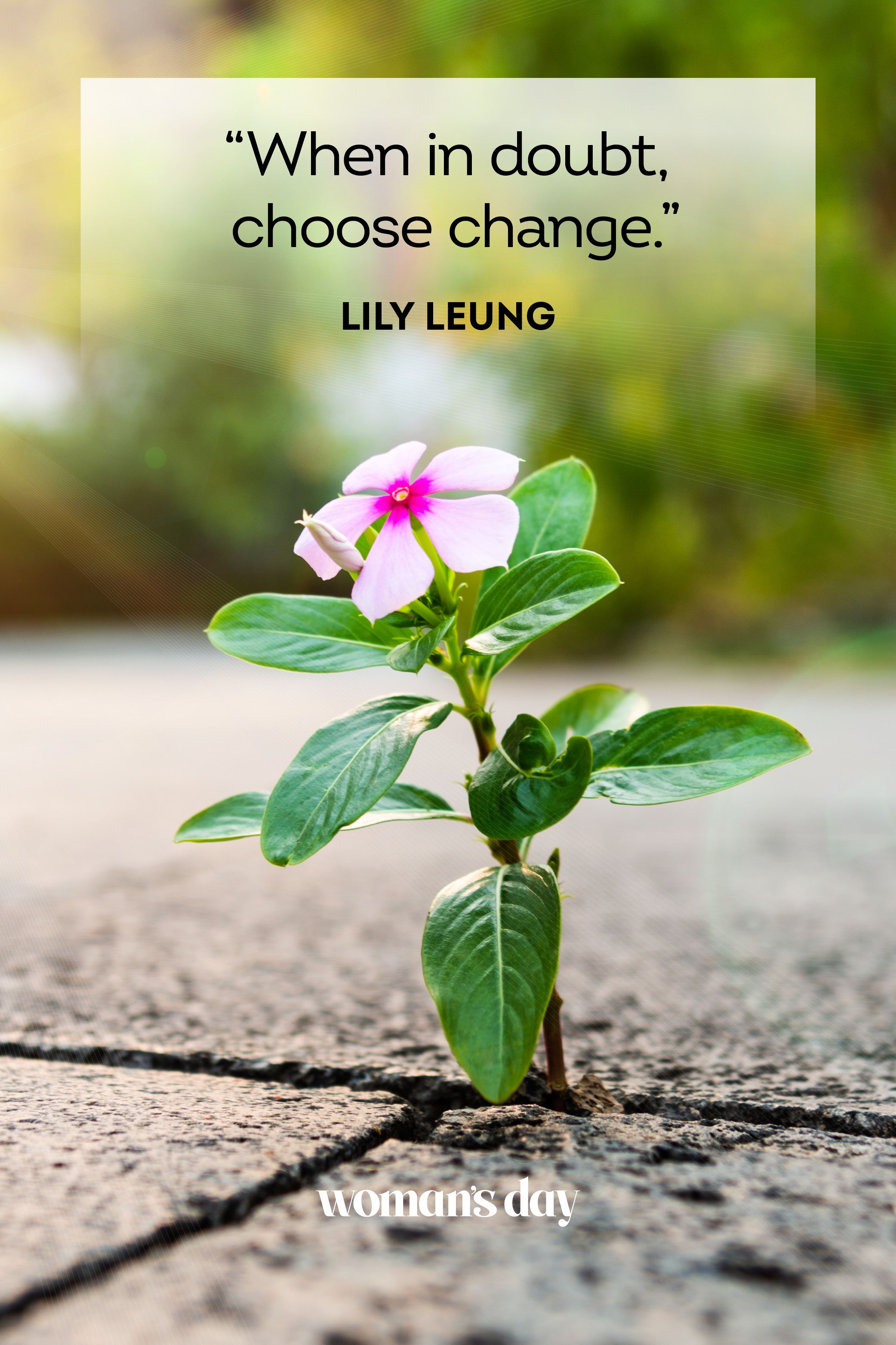Quotes About Change In Life For The Better