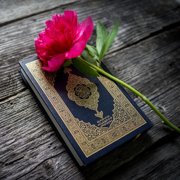 quran quotes the holy quran with rose