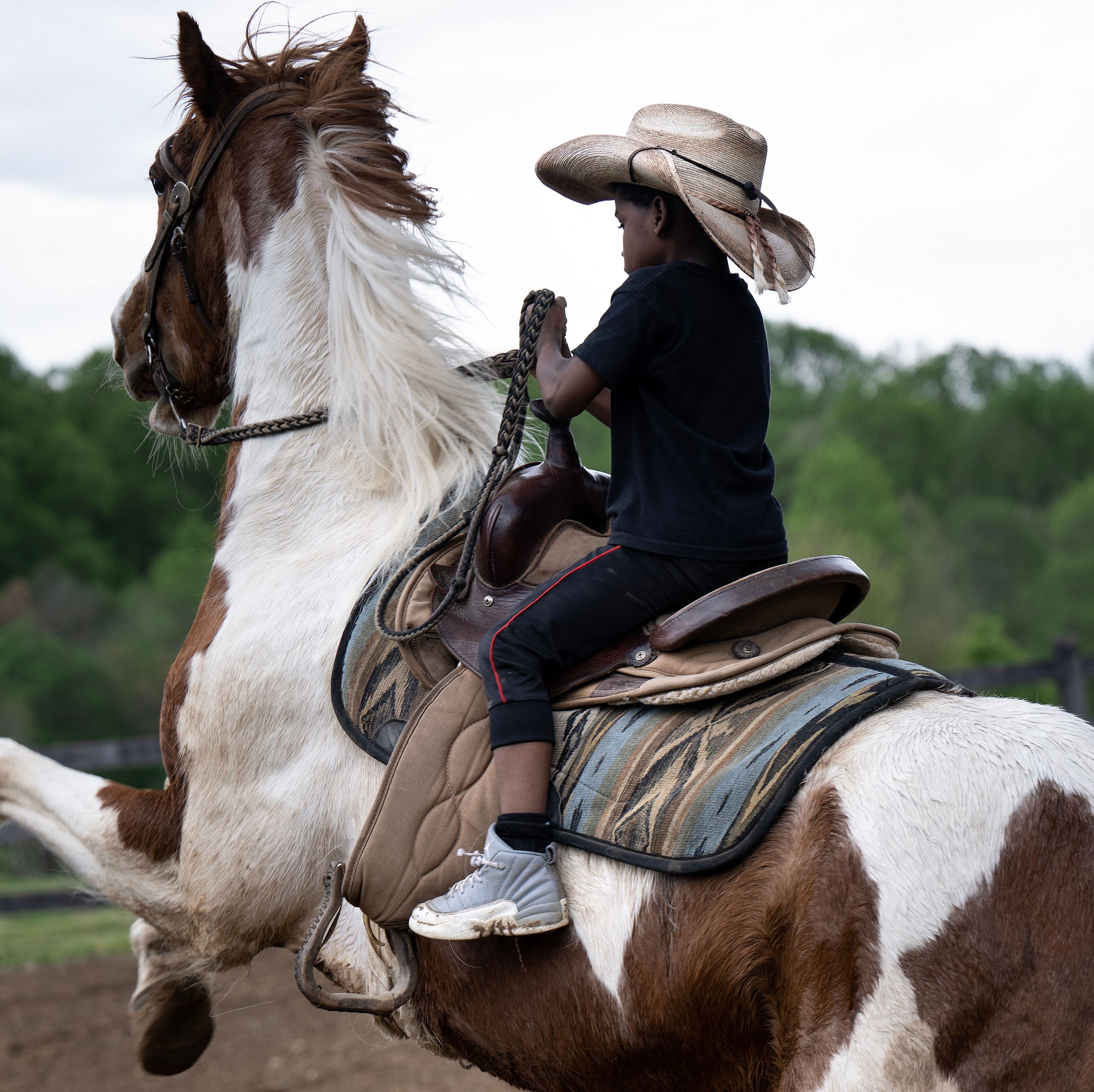 western riding horse photography