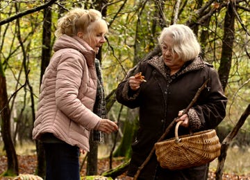 cuando cae el otoño