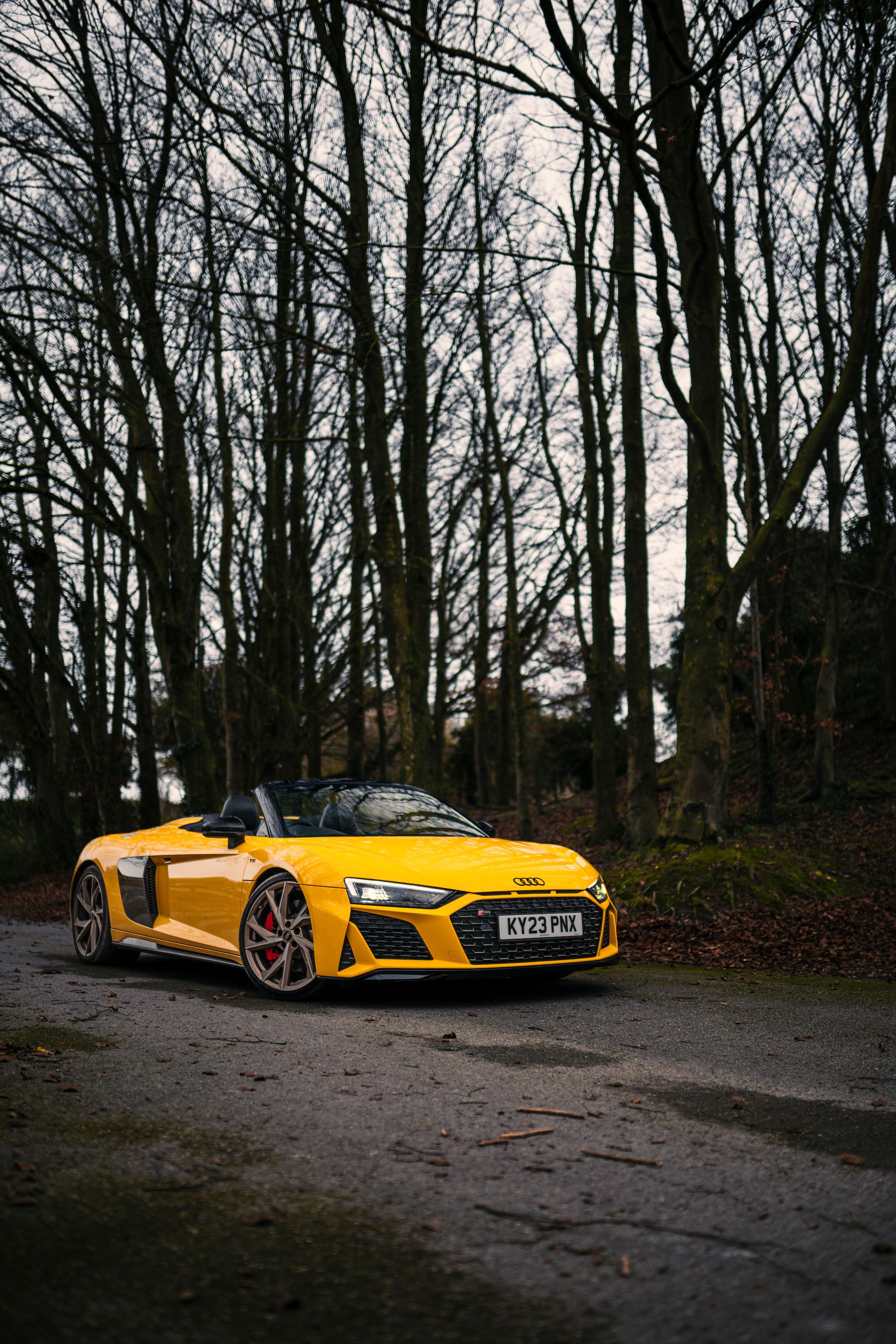 View Photos of the 2023 Audi R8 Spyder