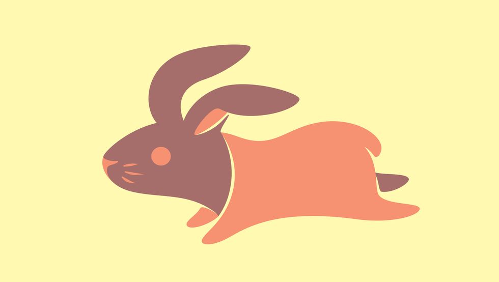 rabbit jumping symbol