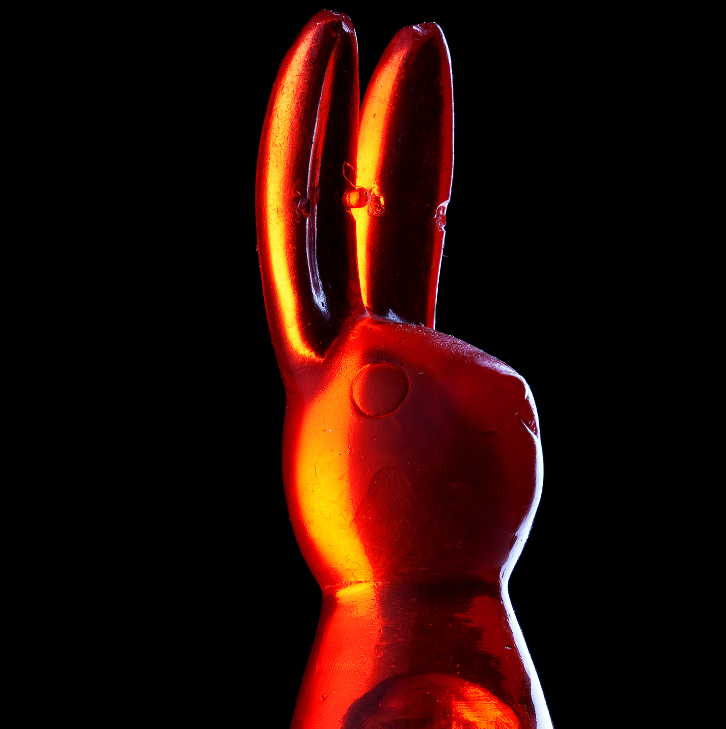 rabbit-vibe-1670532435.png?crop=1.00xw:0.717xh;0,0.0268xhu0026resize=640:*