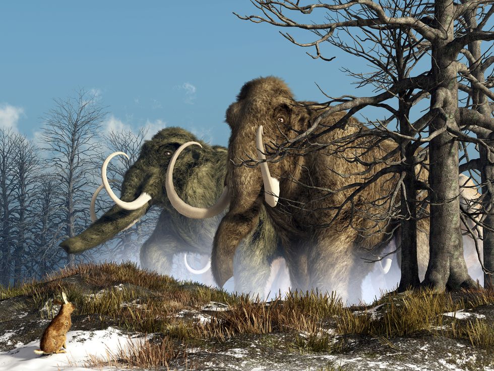a rabbit witnesses a herd of mammoths in a snowy forest