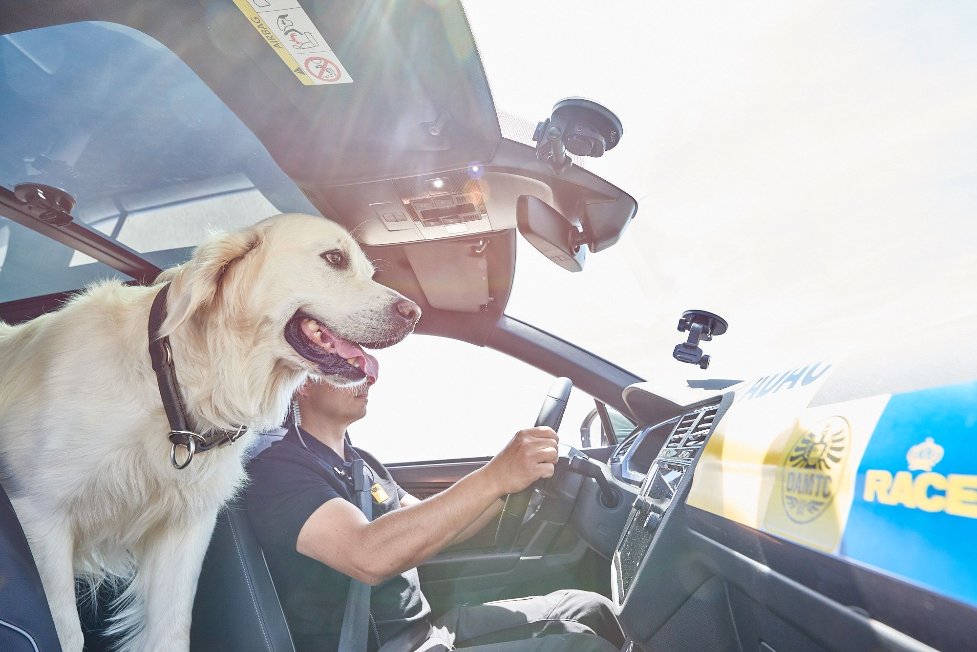 Mascotas encerradas en carros: un desastre evitable - State Farm®