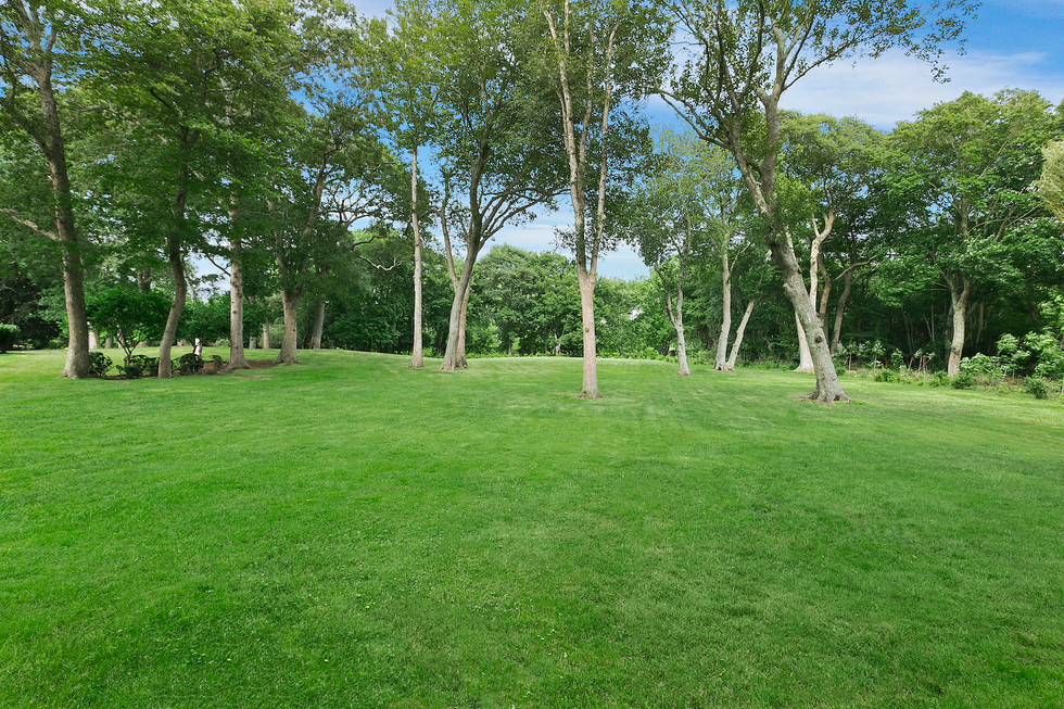 green lawn with trees