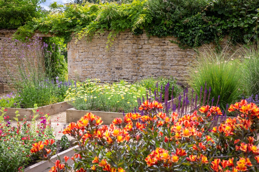 a garden with raised wooden planters