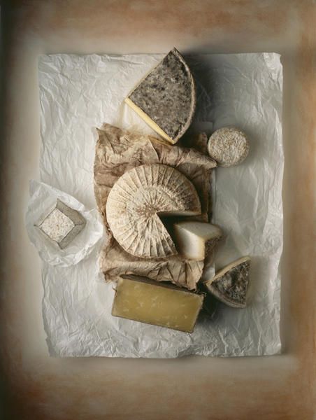 Still life, Still life photography, Dairy, Food, Shell, Camembert Cheese, Cheese, 