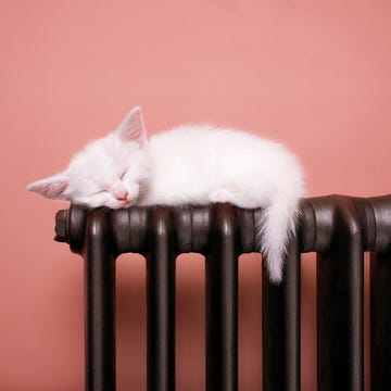 Gato durmiendo sobre un radiador gato durmiendo sobre un radiador