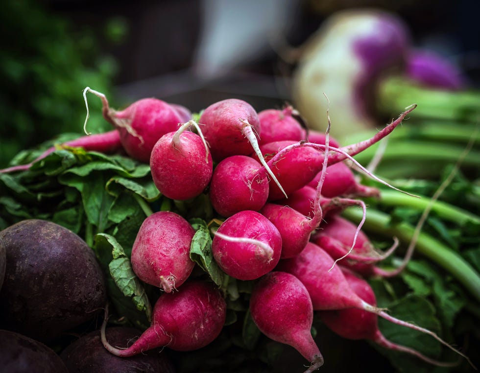 radishes