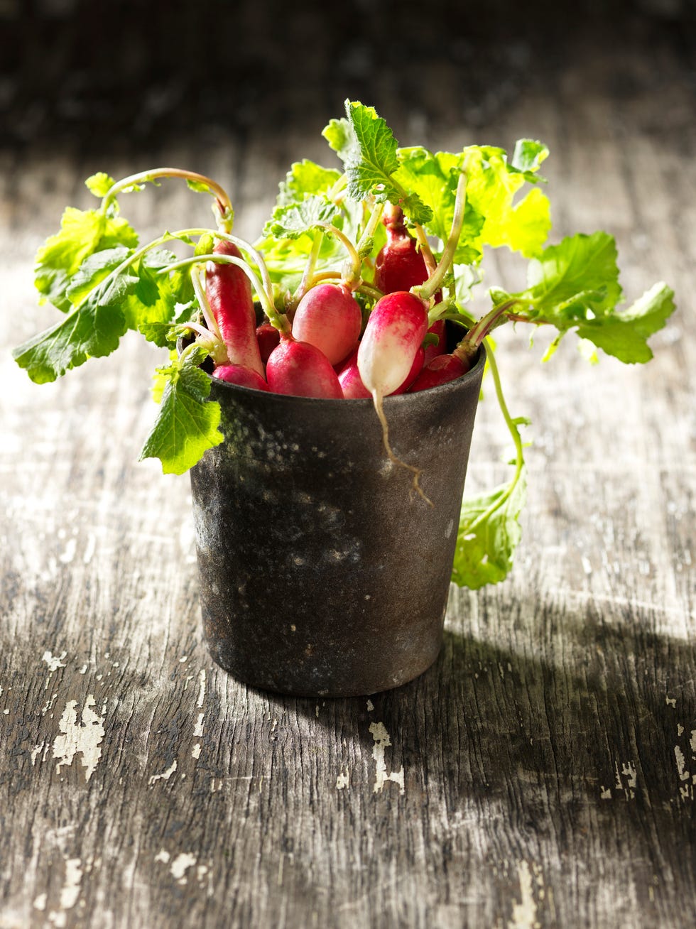 Radishes in vintage metal pot