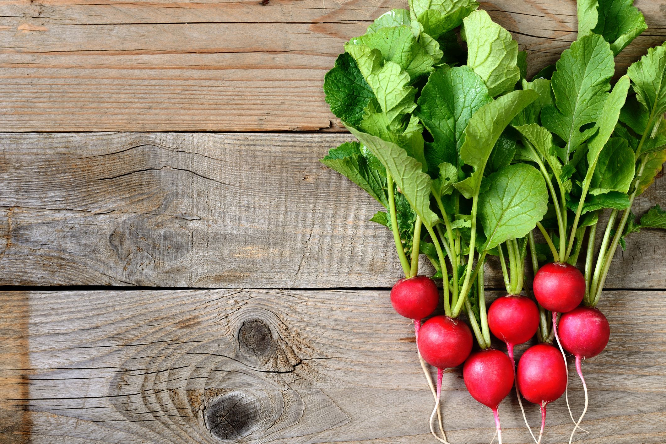 What Are Radishes Good For? A Guide To Radishes