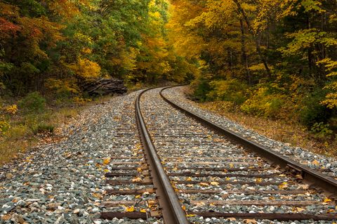 railroad track in fall