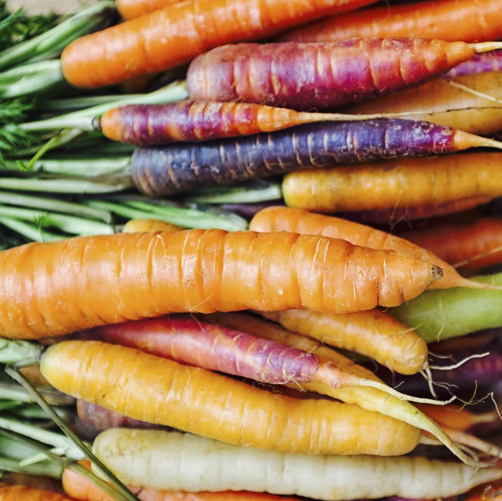 rainbow carrots fresh carrots carrot varieties