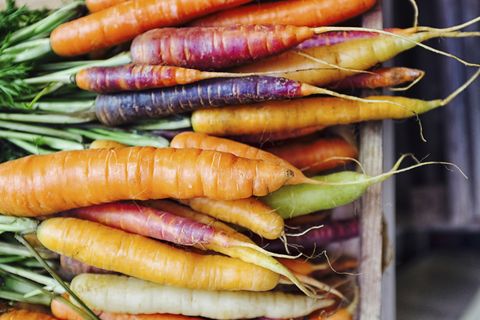 rainbow carrots  fresh carrots  carrot varieties
