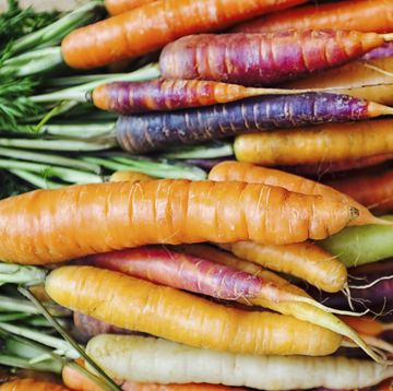 Rainbow Carrots / Fresh Carrots / Carrot varieties