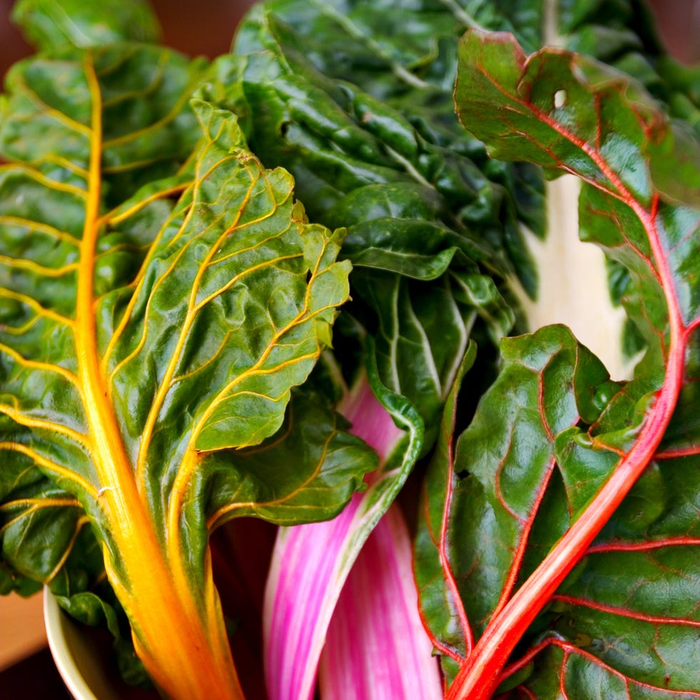 Rainbow Chard rainbow chard